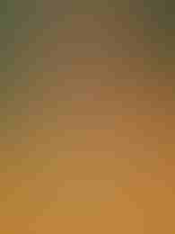 Super Color Game