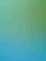 Interfaz de Roobet con efecto blur artístico