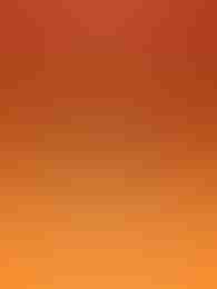 Phoenix Inferno by Betsoft on Roobet Slots