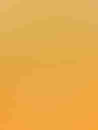 Sunny Coin 10000: Hold The Spin by Gamzix on Roobet Slots