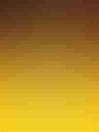 Hoot Shot the Sheriff by Backseat Gaming on Roobet Slots