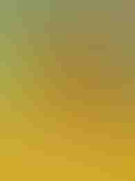 Ramses Book Flaming Link by Bulbul on Roobet Slots