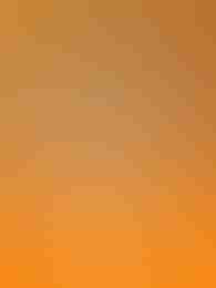 Sloteus Gold by Endorphina on Roobet Slots