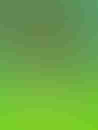 Bass Catch Super Luck by Maxxi Labs on Roobet Slots