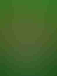 Shamrock Bonanza by Games Global on Roobet Slots