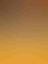 Stompin’ Gold by Play'n Go on Roobet Slots