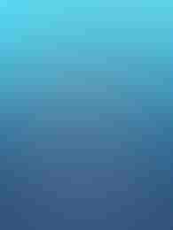 Shark Frenzy by Slotmill on Roobet Slots