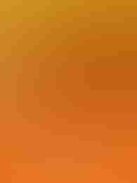 16 Coins by VoltEnt on Roobet Slots