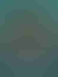 Haunted Coins x1000 by VoltEnt on Roobet Slots