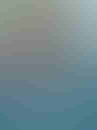 Monkeys Go Bananas MultiMax by Yggdrasil on Roobet Slots