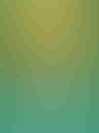 Jade Coins by Endorphina on Roobet Slots