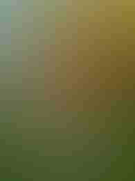 Emerald Gold by Just For The Win on Roobet Slots