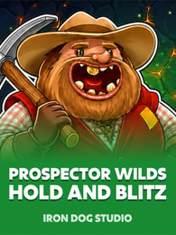 Prospector Wilds Hold and Win by Iron Dog Studio on Roobet Slots