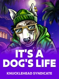 Its a Dog Life by Knucklehead Syndicate on Roobet Slots