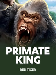 Primate King by Red Tiger on Roobet Slots