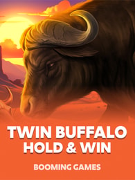 Twin Buffalo: Hold and Win by Booming Games on Roobet Slots