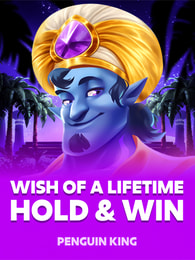 Wish of a Lifetime: Hold and Win by Penguin King on Roobet Slots