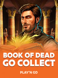 Book of Dead GO Collect by Play'n Go on Roobet Slots