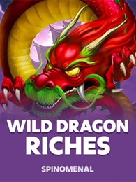 Wild Dragon Riches by Spinomenal on Roobet Slots