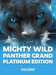 Mighty Wild: Panther Grand Platinum Edition by VoltEnt on Roobet Slots