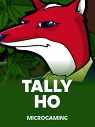 Tally Ho by Games Global on Roobet Slots