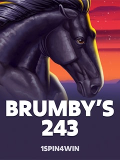 Brumby's 243