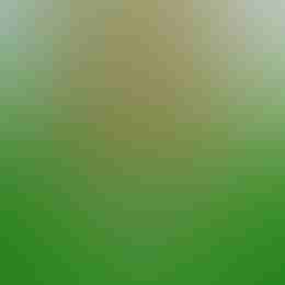 Gaelic Gold by Nolimit City on Roobet Slots
