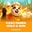 4 Bao Panda: Hold&Win  on Roobet 