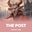 The Post  on Roobet 