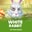 White Rabbit  on Roobet 
