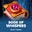 Book of Whispers  on Roobet 