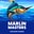 Marlin Masters  on Roobet 
