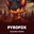 PyroFox  on Roobet 