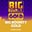 Big Bounty Gold  on Roobet 