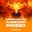 Magnificent Link Flamecrest Phoenix  on Roobet 