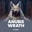 Anubis Wrath  on Roobet 