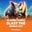 Blazing Rhino - Blast The Bonus 3x3  on Roobet 