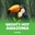 Mighty Hot: Amazonia  on Roobet 