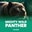 Mighty Wild: Panther  on Roobet 