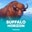 Buffalo Horizon  on Roobet 