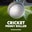 Cricket Penny Roller  on Roobet 