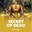 Secret of Dead  on Roobet 