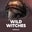 Wild Witches  on Roobet 
