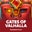 Gates of Valhalla  on Roobet 