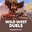 Wild West Duels  on Roobet 