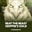 Beat the Beast: Griffin's Gold  on Roobet 