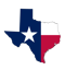 Texas Governor Election Winner