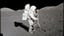 Will the Doge-1 Lunar Mission launch by...?